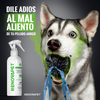 🐾RENOVAPET 🐶 Adiós Al Sarro 😻