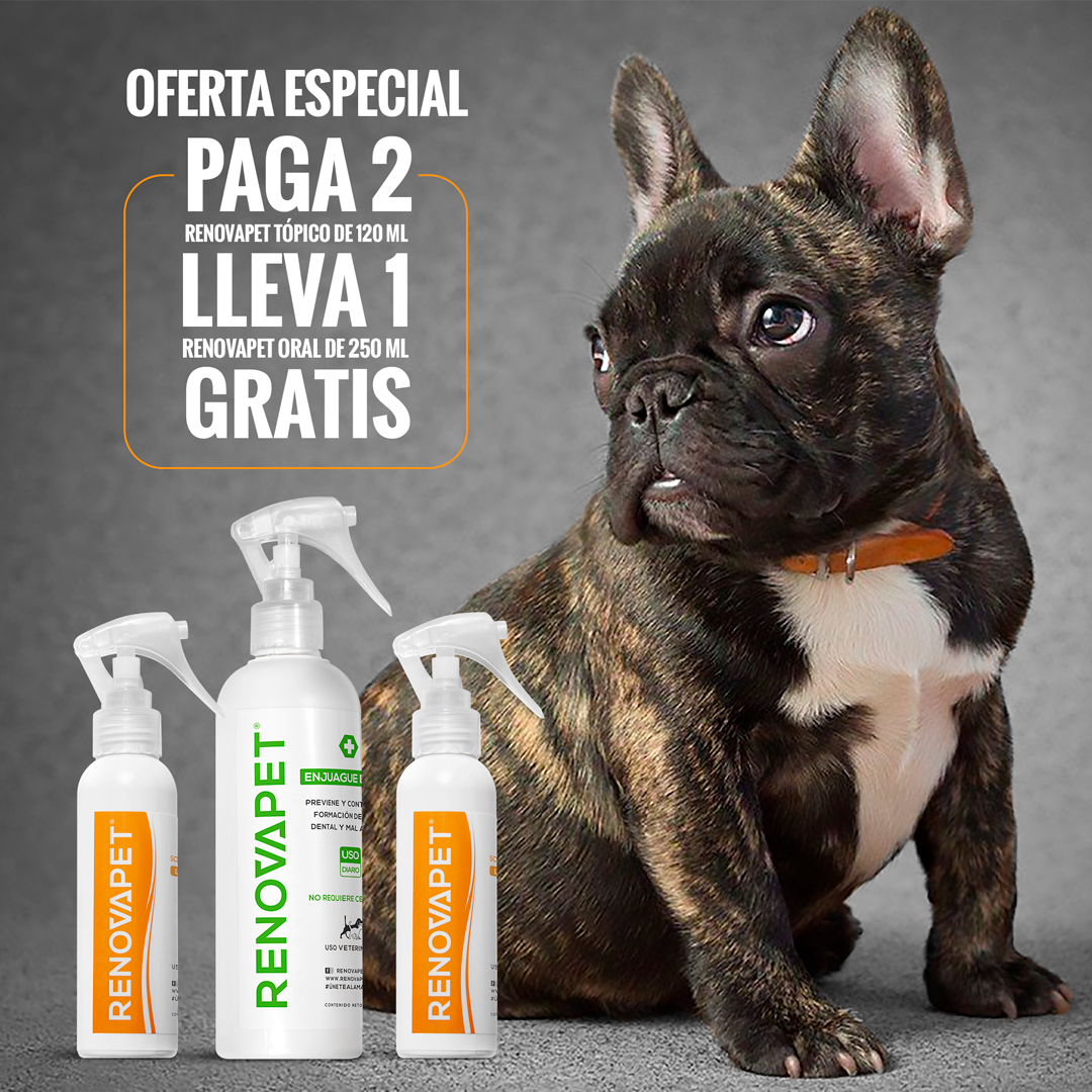 🐾 RENOVAPET TÓPICO- Solución Dérmica Para Animales 🐶🐱🐎