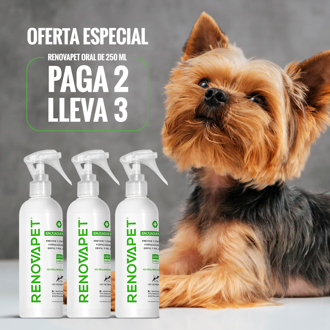 🐾RENOVAPET 🐶 Adiós Al Sarro 😻
