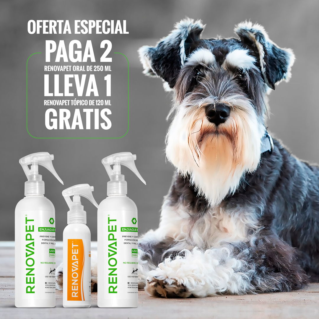 🐾RENOVAPET 🐶 Adiós Al Sarro 😻