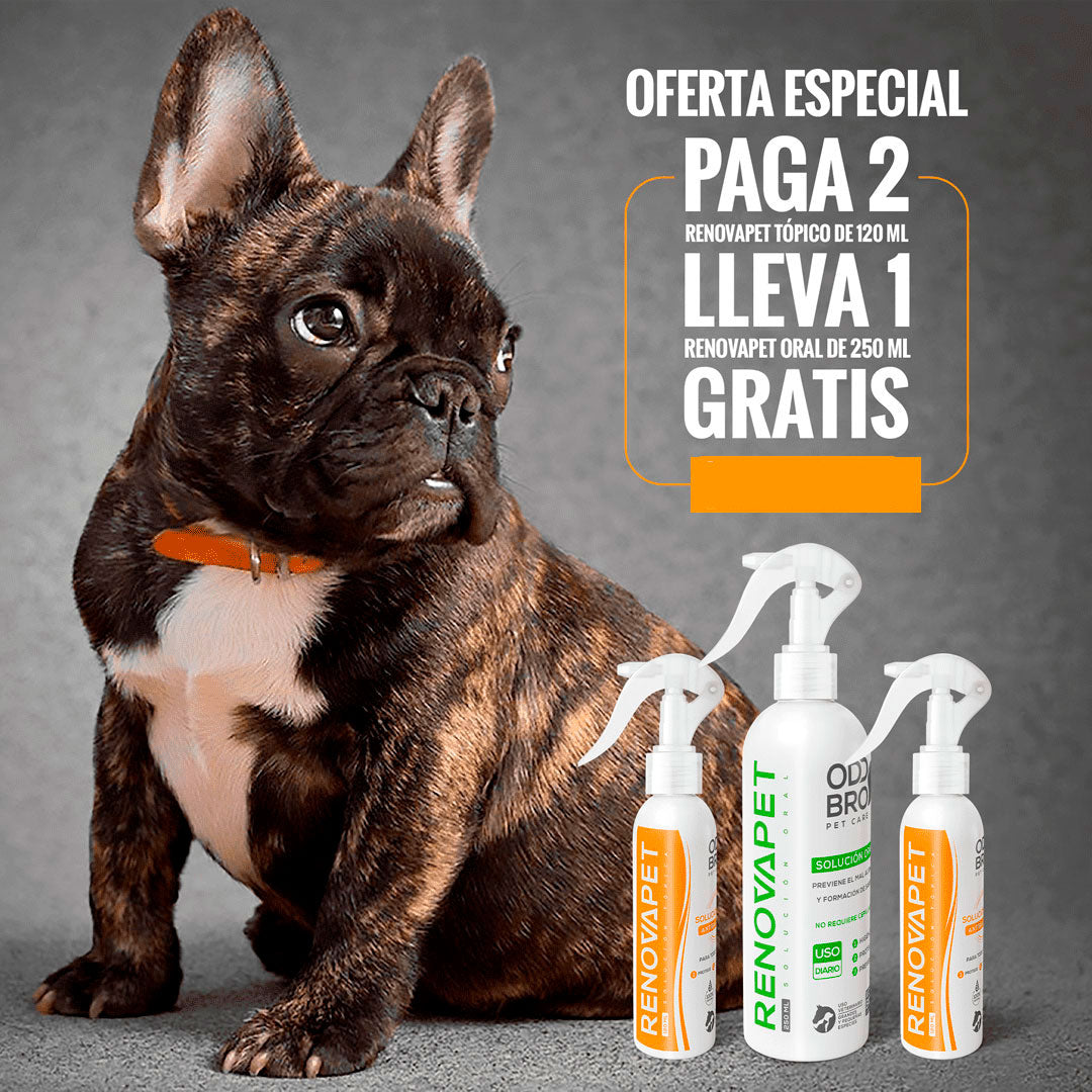 🐾 RENOVAPET TÓPICO- Solución Dérmica Para Animales 🐶🐱🐎