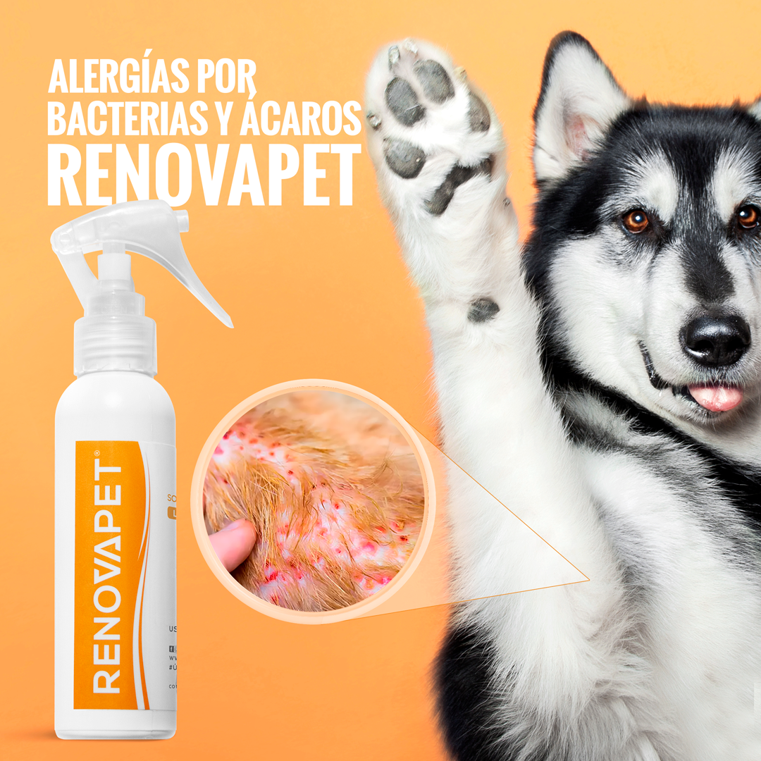🐾 RENOVAPET TÓPICO- Solución Dérmica Para Animales 🐶🐱🐎