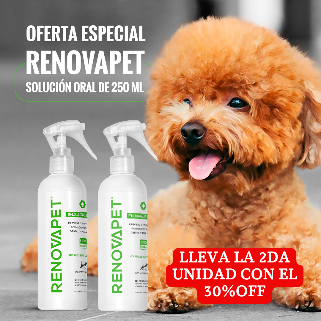 🐾RENOVAPET 🐶 Adiós Al Sarro 😻