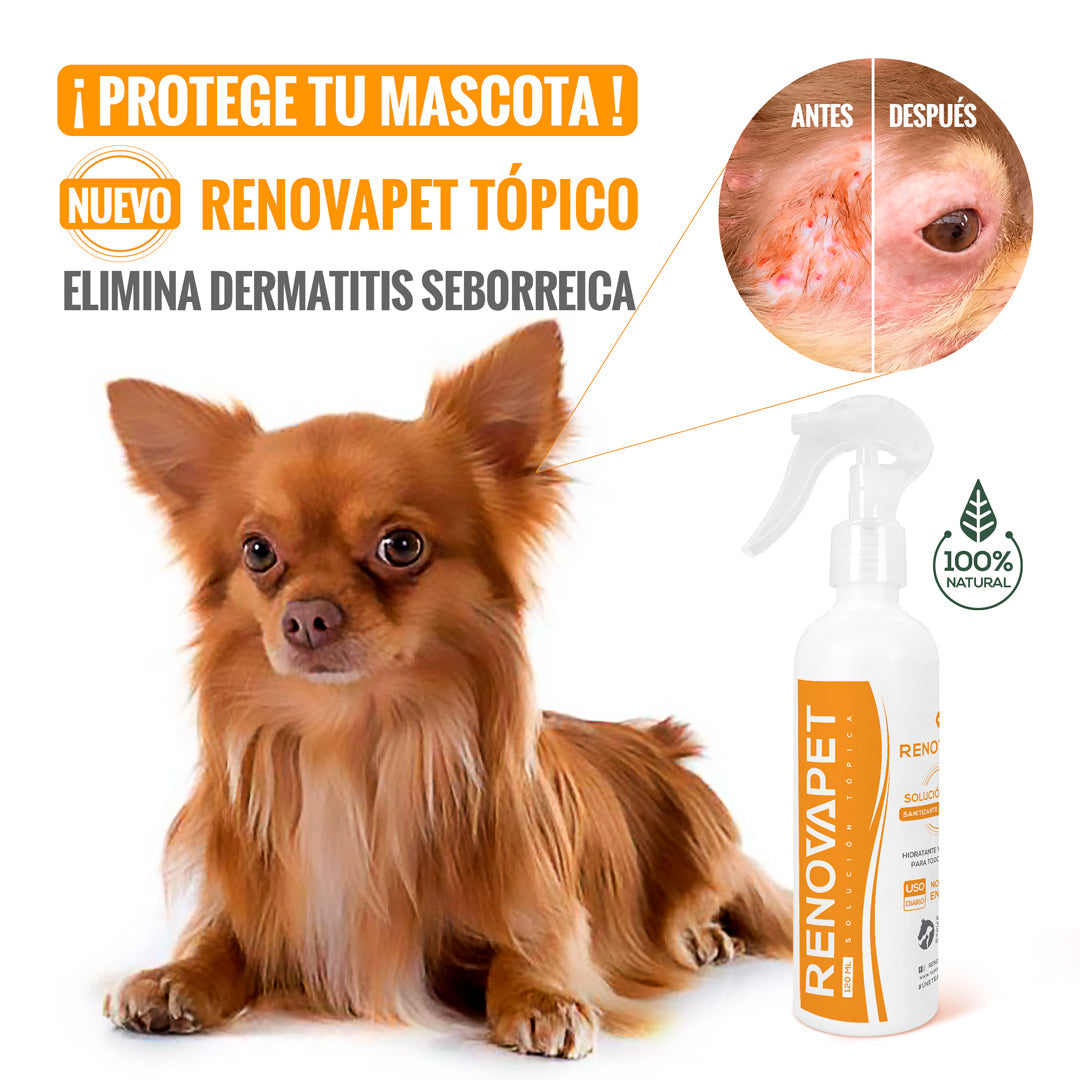 🐾 RENOVAPET TÓPICO- Solución Dérmica Para Animales 🐶🐱🐎