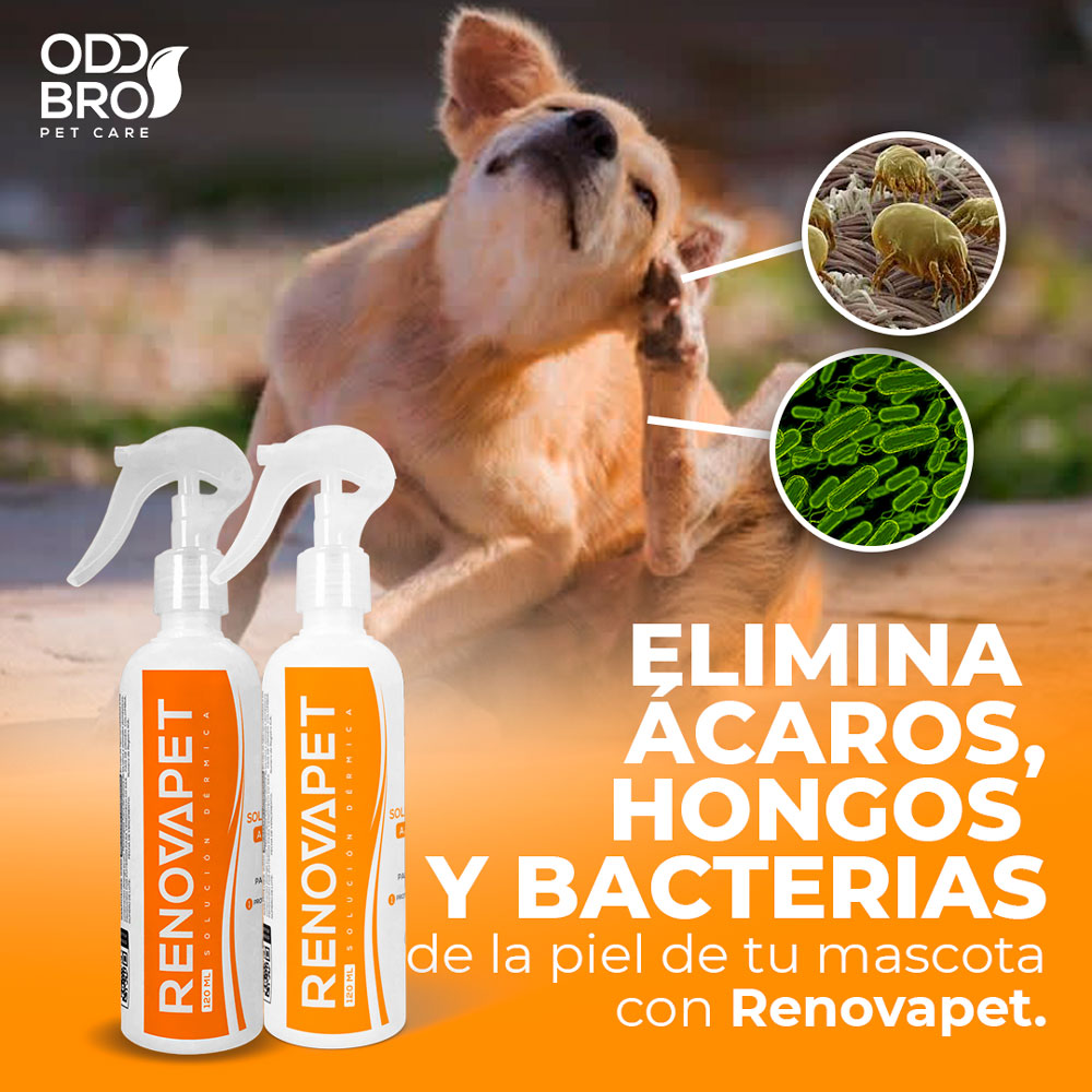 🐾 RENOVAPET TÓPICO- Solución Dérmica Para Animales 🐶🐱🐎